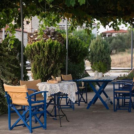 Palm Tree Apartments Псакудия Экстерьер фото